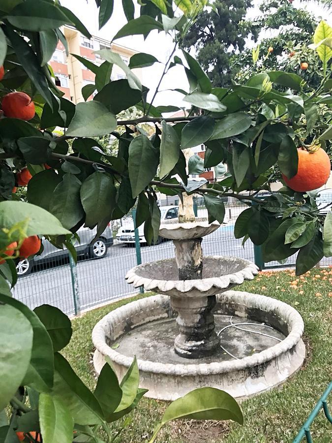 Gifsa Sevilla - Parque Alcosa Zewnętrze zdjęcie
